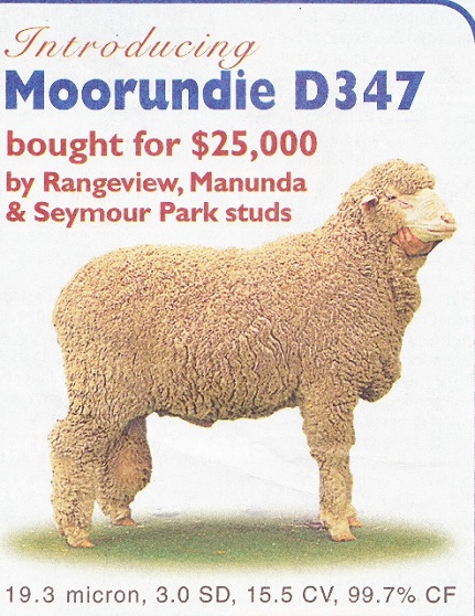 semen-sire-influence-Moorundie-Park-D347